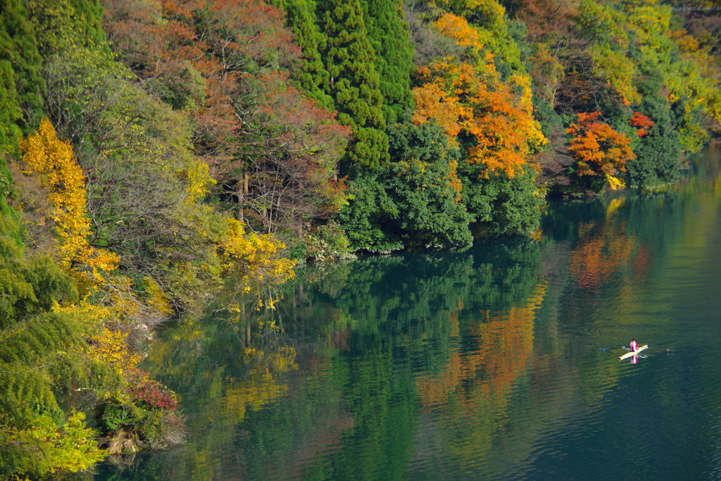 紅葉カヌー