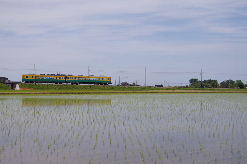 坂を上るかぼちゃ列車