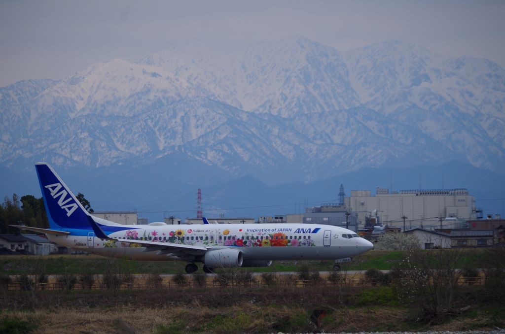 フラワージェット@富山空港