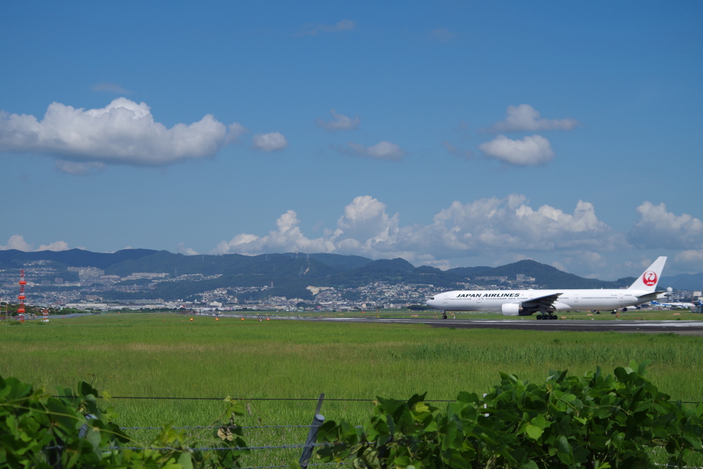 白い雲、白い飛行機