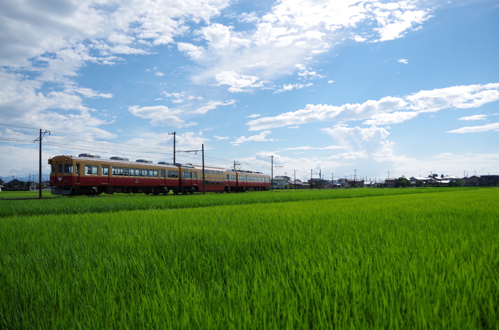 田園列車の夏