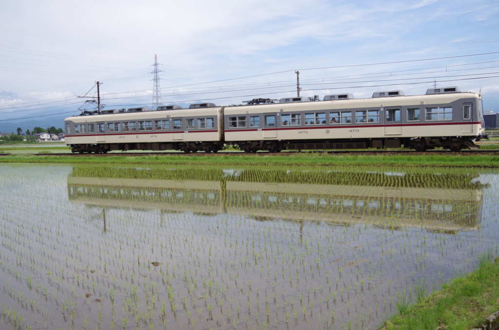 水面に映るダイコン列車
