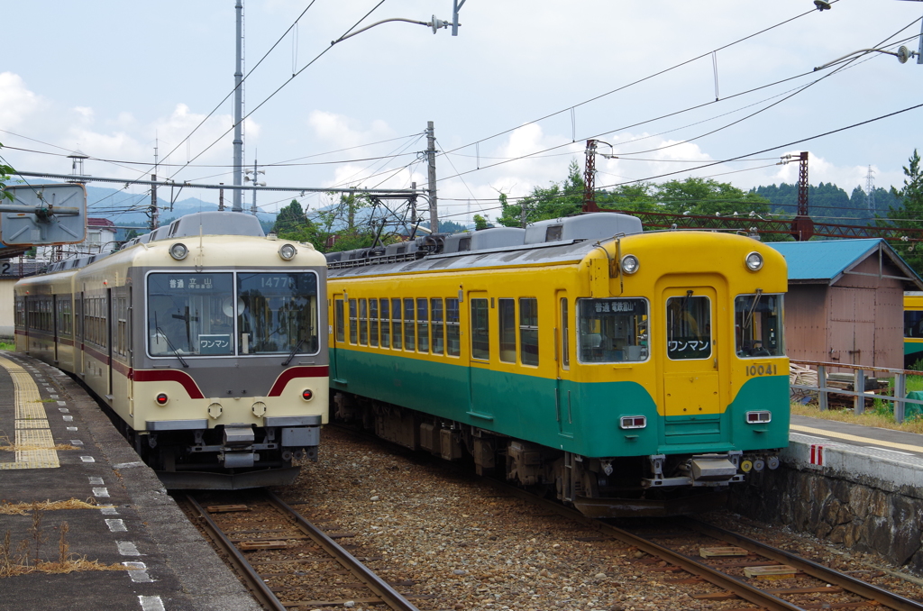 ダイコン＆カボチャ