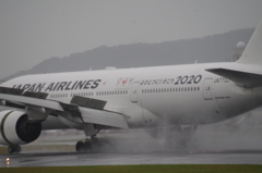 雨にも負けず風にも負けず