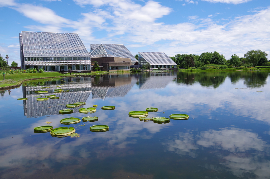 梅雨の晴れ間に