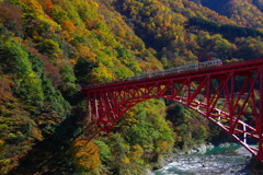 トロッコ列車の最後尾