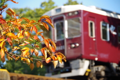 阪急甲陽線と紅葉