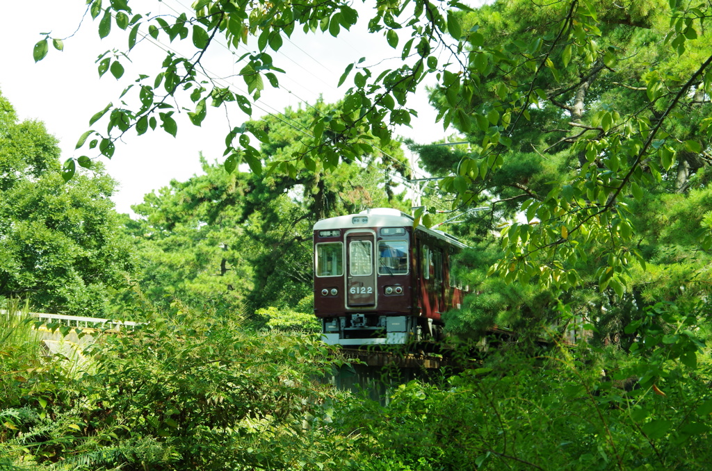 緑のトンネルを抜けて