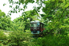 緑のトンネルを抜けて