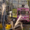 万葉線（ピンク）
