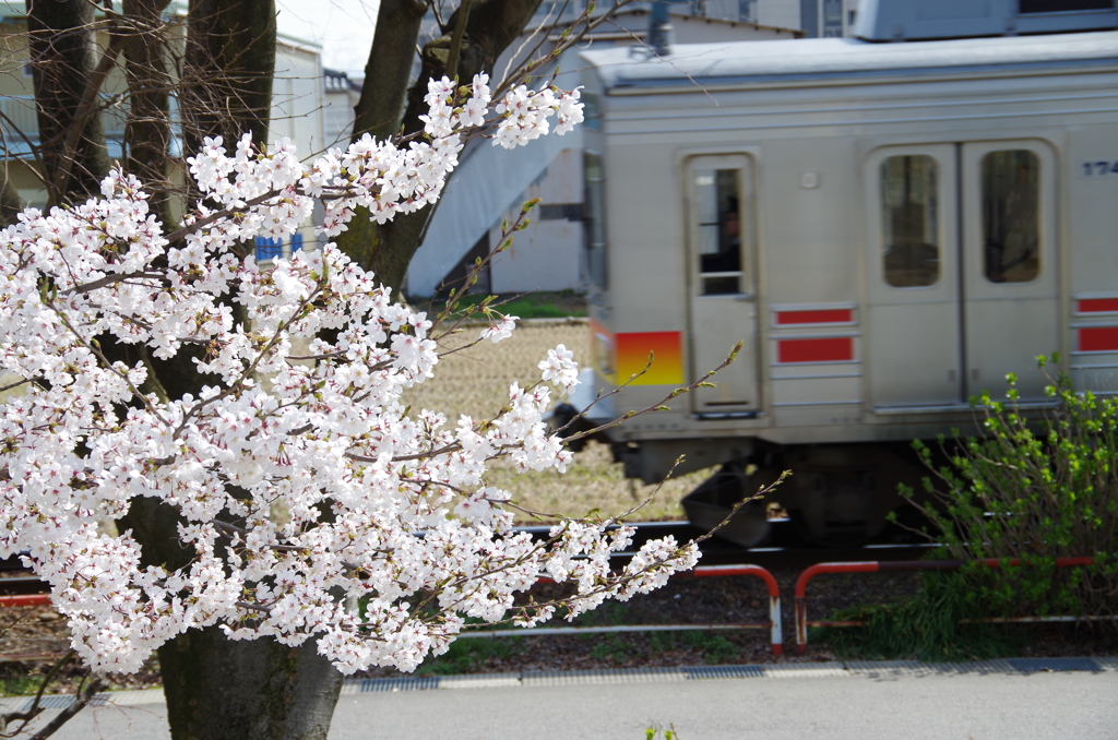 富山地鉄上滝線