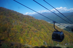 もう少しで紅葉