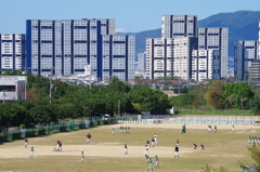 少年野球