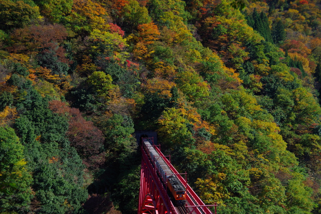 トロッコ列車