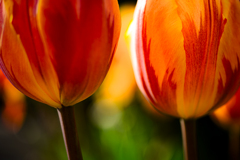 殿方の目線？　フフフ(^^♪