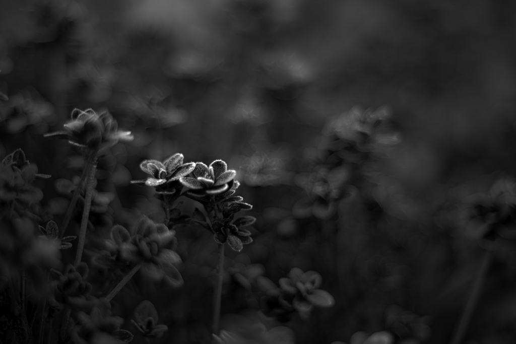 包んで欲しい　温かい手で