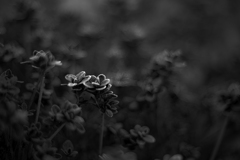 包んで欲しい　温かい手で