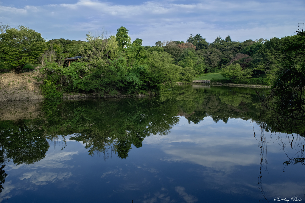 久しぶりの夏空模様