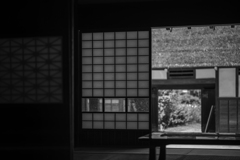 居間より長屋門を眺む