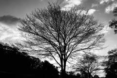 冬と実感する時