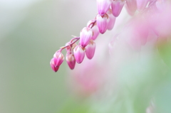 アブナイ誘惑