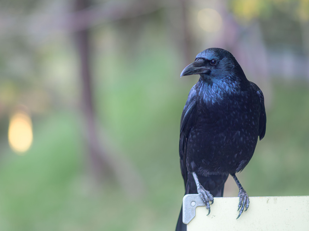 案外イケメン？