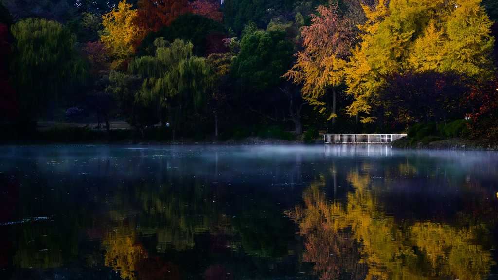 冷え込んだ雨上がり