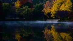 冷え込んだ雨上がり