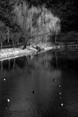 冬の陽溜まり長閑さ倍増