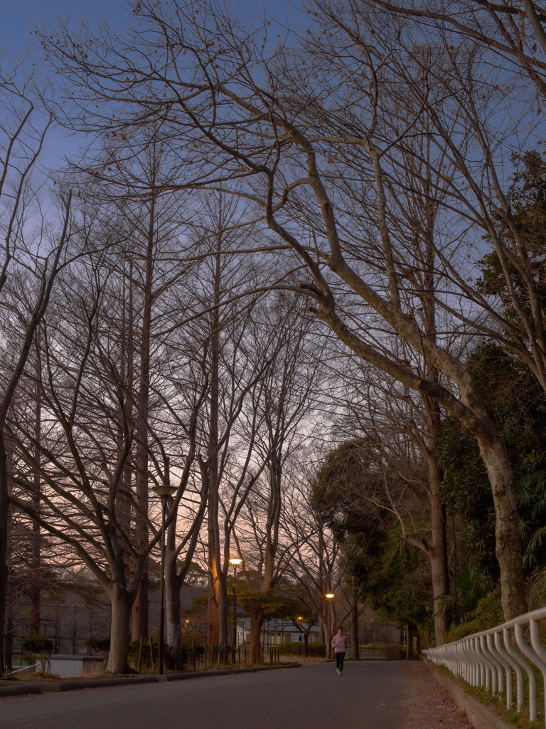 冬枯れの夜明け前