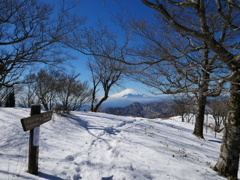 P1000925