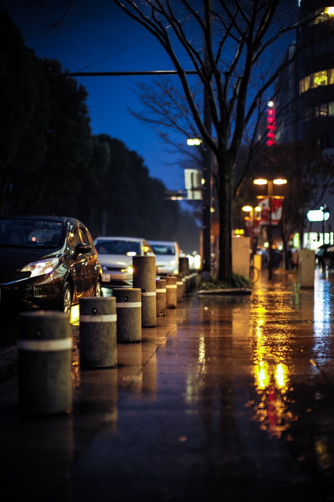 雨の道