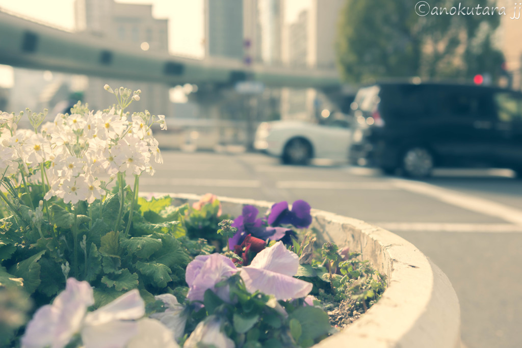 路傍の春