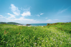 大成古墳群あたり