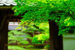 石山寺なか