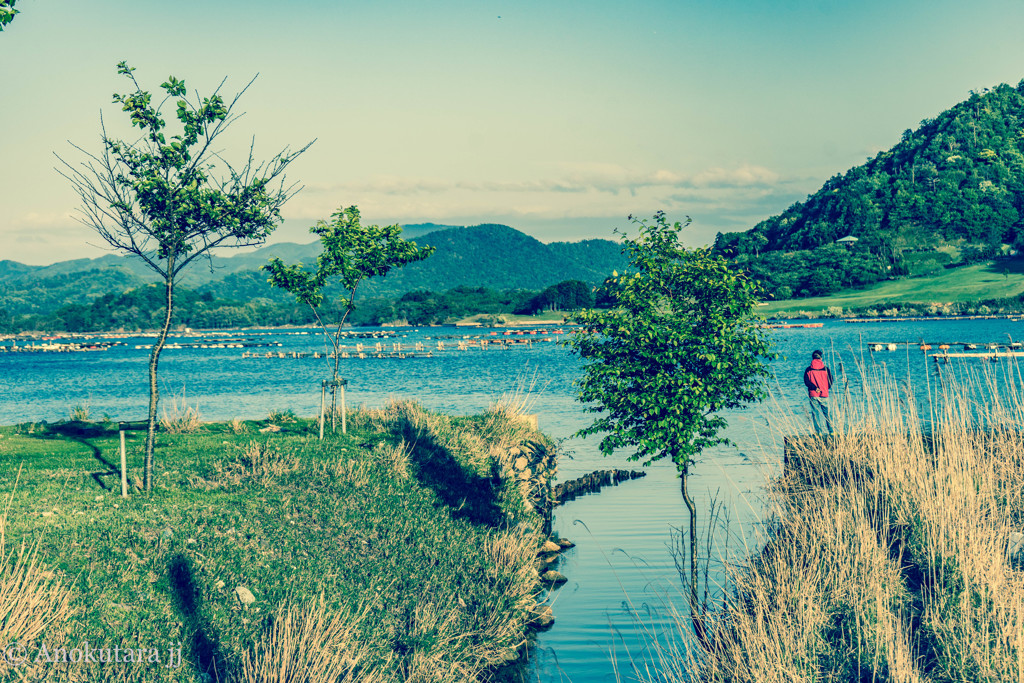 どっかの海岸
