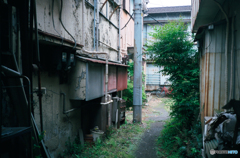 20180417_Konica_C35_FUJI_SUPERIA_PREMIUM