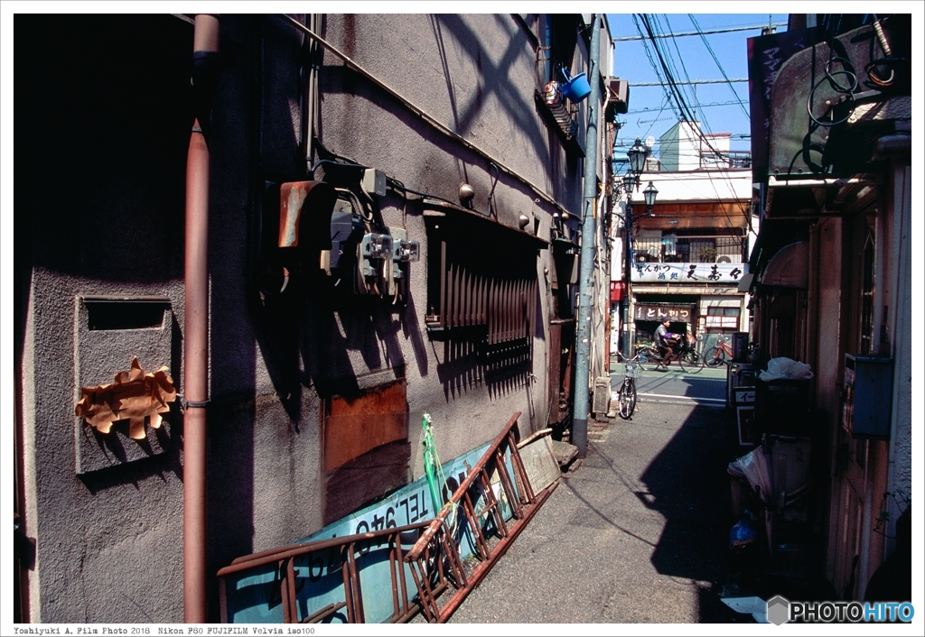 20180401_Nikon_F80_Velvia_iso100__02