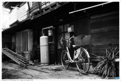 福岡市東区馬出 Nikon_FE_Kodak_400TX__27