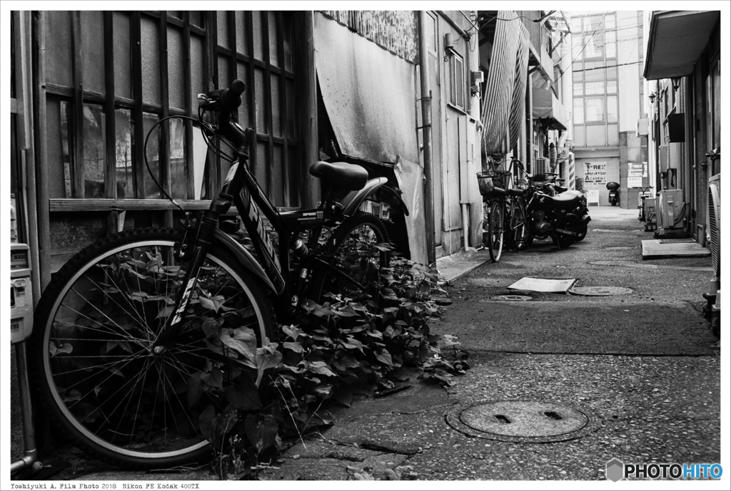 福岡市東区馬出 Nikon_FE_Kodak_400TX__23