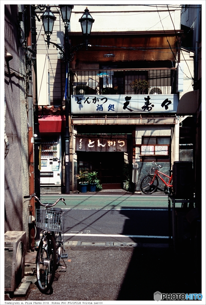 20180401_Nikon_F80_Velvia_iso100__04