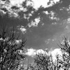 空