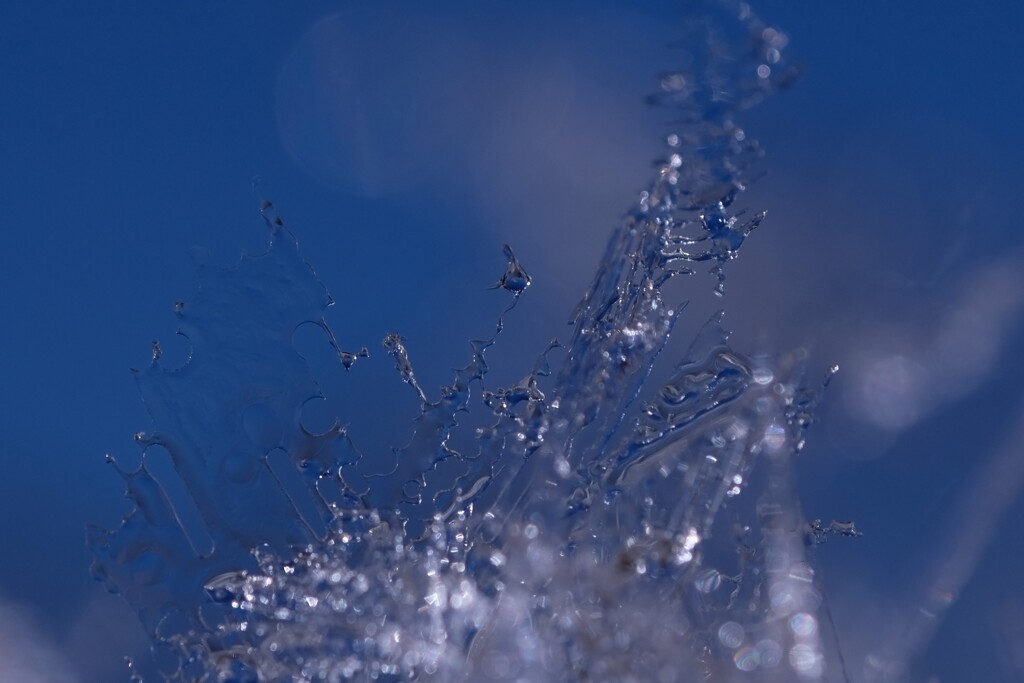 氷の結晶