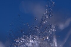 氷の結晶