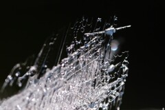 氷の結晶　