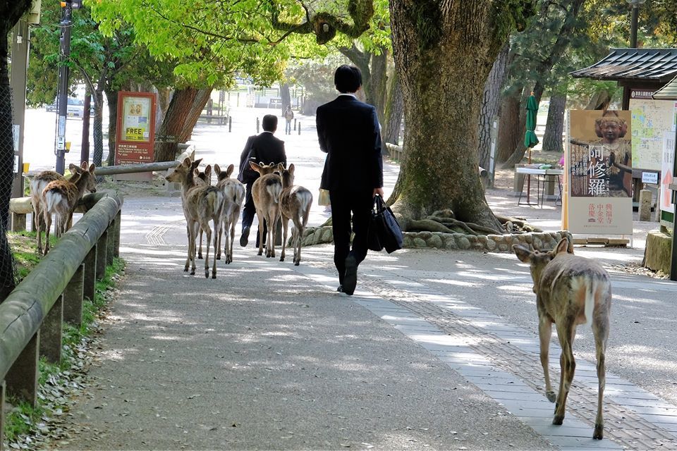 休み明けの出勤風景
