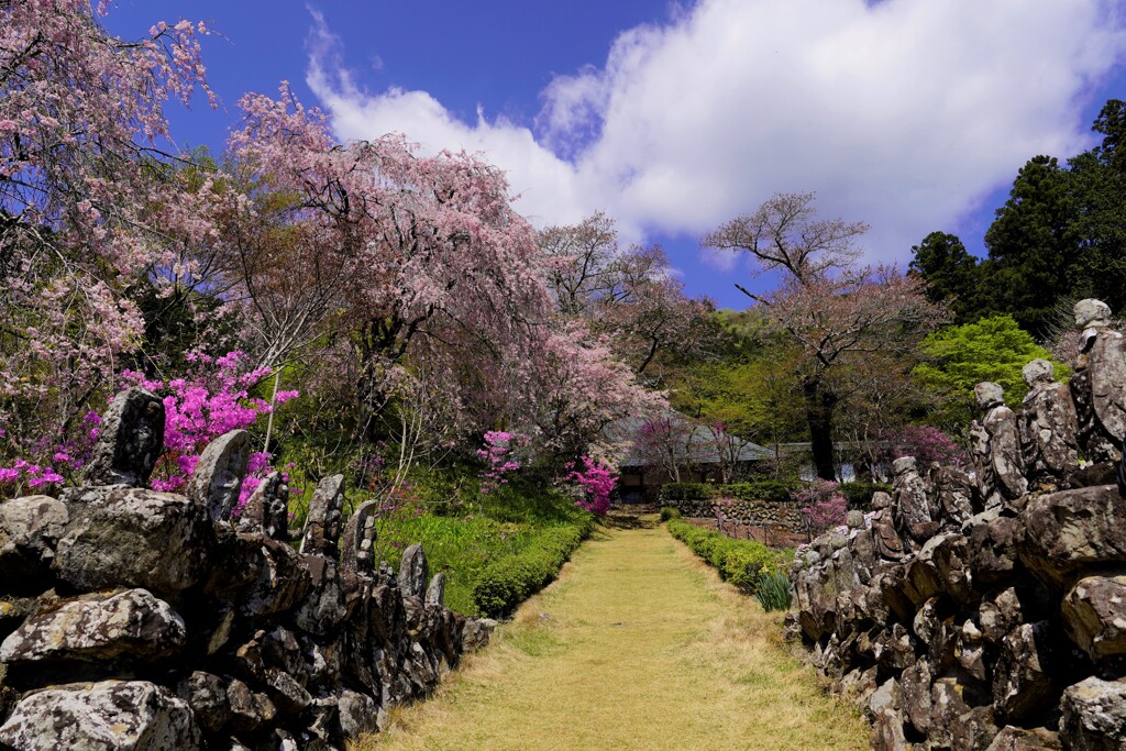 花の寺