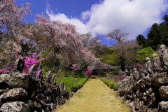 花の寺
