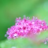 雨の日のお楽しみ