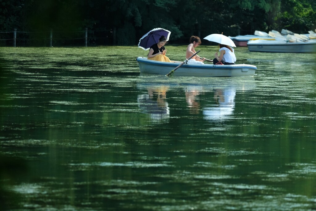 夏のボート遊び